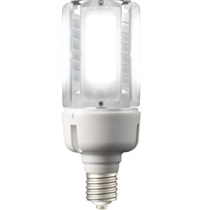 EYE岩崎LEDioc LED 灯泡 K LDT100-242V28L-G